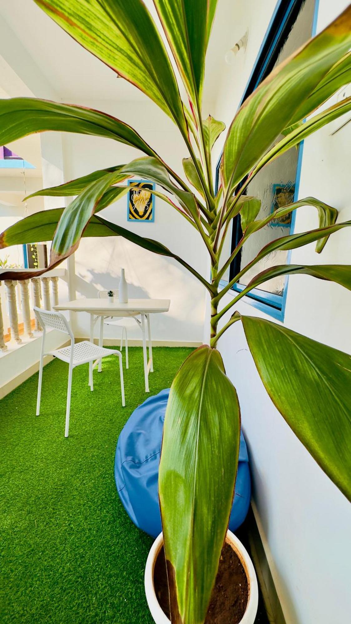 Omkar Wellness Inn อารัมบล ภายนอก รูปภาพ